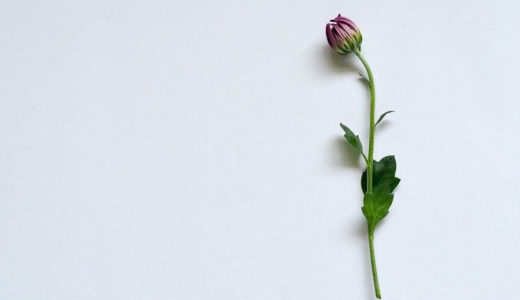 うさぎが死ぬときはどうなる？苦しいのか。心臓マッサージで蘇生できるのか。