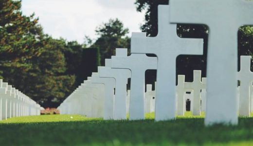 うさぎが死んだらどうしたらいい？すぐにすべきこと（火葬や遺骨などについて）