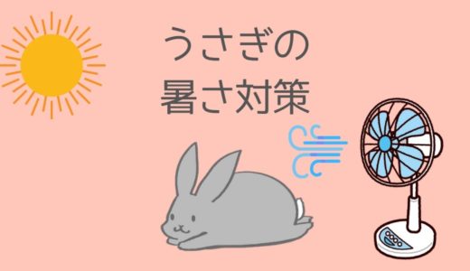 うさぎの暑さ対策まとめ｜夏の室温・湿度・エアコン設定と留守番の注意点