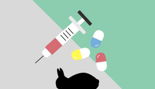 うさぎに毛球症という病気はない？うさぎの消化器障害について整理しました。