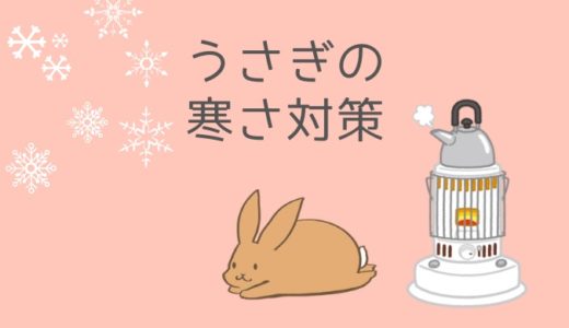 うさぎの寒さ対策 完全ガイド｜冬を元気に乗り切る！最適な温度管理とうっ滞予防のすべて