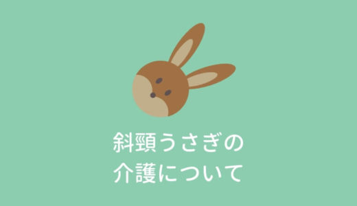 うさぎが斜頸になったら？家庭でできる介護・ケア完全ガイド｜体験談・グッズ・サプリも紹介