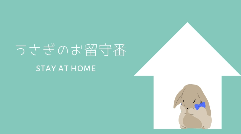 うさぎのお留守番は何日まで？安全に留守を任せるための完全ガイド