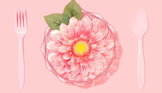 高齢うさぎの食べ物で気を付けるべき5つのこと