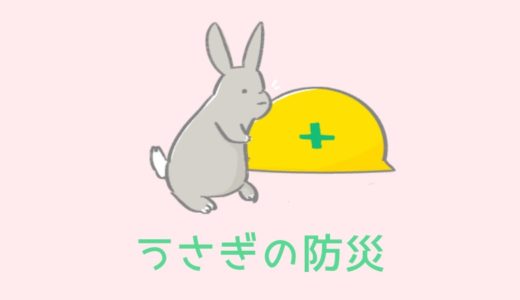 うさぎの防災完全ガイド｜災害時に命を守るための備えと行動マニュアル