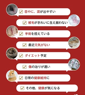 うさぎのチカラの効果