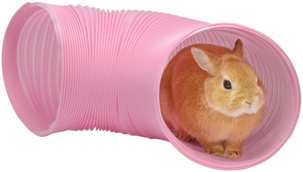 うさぎのトンネル遊び